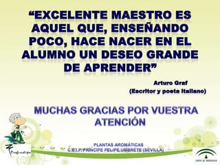 Presentacion plantas aromáticas