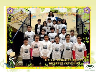 Presentacion plantas aromáticas