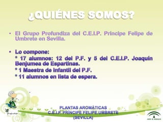 Presentacion plantas aromáticas