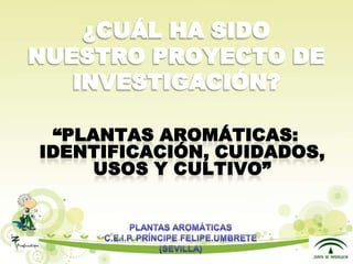 Presentacion plantas aromáticas