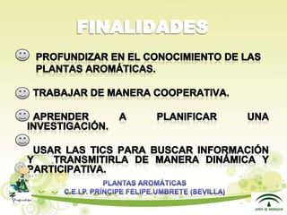 Presentacion plantas aromáticas