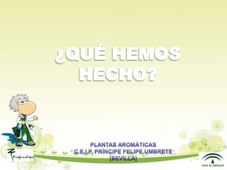 Presentacion plantas aromáticas