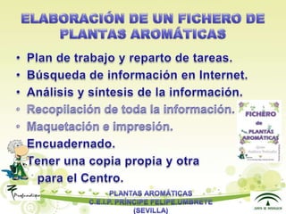 Presentacion plantas aromáticas