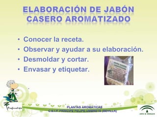 Presentacion plantas aromáticas