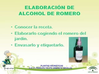 Presentacion plantas aromáticas