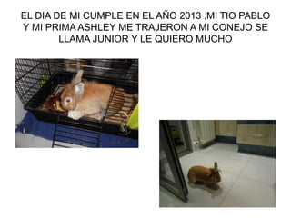 EL DIA DE MI CUMPLE EN EL AÑO 2013 ,MI TIO PABLO
Y MI PRIMA ASHLEY ME TRAJERON A MI CONEJO SE
LLAMA JUNIOR Y LE QUIERO MUCHO