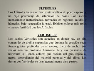 ULTISOLES
Los Ultisoles tienen un horizonte argílico de poco espesor y
un bajo porcentaje de saturación de bases. Son suelos
intensamente meteorizados, formados en regiones cálidas y
húmedas, bajo vegetación forestal. Exhiben colores más rojos
y menos fertilidad que los Alfisoles.
VERTISOLES
Los suelos Vertisoles son aquellos en donde hay un alto
contenido de arcilla expansiva que durante la estación seca,
forma grietas profundas de al menos, 1 cm de ancho. Son
suelos con un profundo horizonte A y sin presencia de
horizonte B. Tienen colores que oscilan del gris, rojizo al
negro, dependiendo del material parental y del clima. Las
tierras con Vertisoles se usan generalmente para pastos.
 