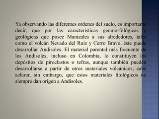Ya observando las diferentes ordenes del suelo, es importante
decir, que por las características geomorfológicas y
geológicas que posee Manizales a sus alrededores, tales
como el volcán Nevado del Ruiz y Cerro Bravo, éste puede
desarrollar Andisoles. El material parental más frecuente de
los Andisoles, incluso en Colombia, lo constituyen los
depósitos de piroclastos o tefras, aunque también pueden
desarrollarse a partir de otros materiales volcánicos; cabe
aclarar, sin embargo, que estos materiales litológicos no
siempre dan origen a Andisoles.
 