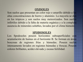 OXISOLES
Son suelos que presentan un color rojo o amarillo debido a las
altas concentraciones de hierro y aluminio. La mayoría se dan
en los trópicos y son suelos muy meteorizados. Son suelos
infértiles debido a la falta de materia orgánica y a la completa
ausencia de minerales solubles, lavados por el clima húmedo.
SPODOSOLES
Los Spodosoles poseen horizontes subsuperficiales con
acumulación de humus en el horizonte B. Se forman en áreas
boscosas de regiones frías y húmedas. Poseen suelos
intensamente lavados en regiones húmedas y frescas. Poseen
colores brillantes, acidez elevada y escasa fertilidad.
 