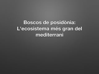 Boscos de posidònia: 
L'ecosistema més gran del 
mediterrani 
 