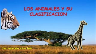 LOS ANIMALES Y SU 
CLASIFICACION 
Lina marcela mira león 
 