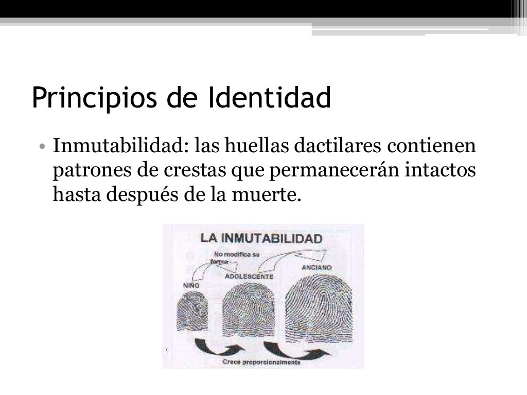 Dactiloscopia Forense Dactiloscopia Forense