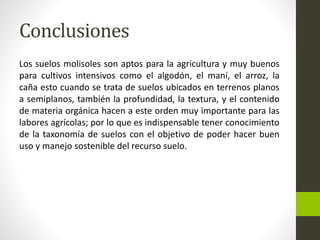 Conclusiones 
Los suelos molisoles son aptos para la agricultura y muy buenos 
para cultivos intensivos como el algodón, el maní, el arroz, la 
caña esto cuando se trata de suelos ubicados en terrenos planos 
a semiplanos, también la profundidad, la textura, y el contenido 
de materia orgánica hacen a este orden muy importante para las 
labores agrícolas; por lo que es indispensable tener conocimiento 
de la taxonomía de suelos con el objetivo de poder hacer buen 
uso y manejo sostenible del recurso suelo. 
