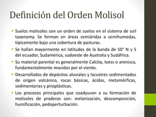 Definición del Orden Molisol 
 Suelos molisoles son un orden de suelos en el sistema de soil 
taxonomy. Se forman en áreas semiáridas a semihumedas, 
típicamente bajo una cobertura de pasturas. 
 Se hallan mayormente en latitudes de la banda de 50° N y S 
del ecuador, Sudamérica, sudoeste de Australia y Sudáfrica. 
 Su material parental es generalmente Calcita, loess o arenisca, 
fundamentalmente movidos por el viento. 
 Desarrollados de depósitos aluviales y lacustres sedimentados 
de origen volcánico, rocas básicas, ácidas, metamórficas, 
sedimentarias y piroplásticas. 
 Los procesos principales que coadyuvan a su formación de 
molisoles de praderas son: melanización, descomposición, 
humificación, pedoperturbación. 
 