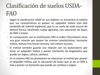 Clasificación de suelos USDA-FAO 
• Según la clasificación USDA en sus órdenes se encuentra el molisol 
que sus características es poseer un epipedón mólico (con alto 
contenido de materia orgánica), que es un suelo de color oscuro de 
textura franca, excelentes suelos agrícolas, con saturación de bases 
de 50% o mayor. 
• En comparación con la clasificación FAO el orden Chernozems tiene 
una gran relación por poseer las mismas características: horizonte 
mólico, textura fina franco arenosa, con colores oscuros. 
• El molisol también guarda una relación con los kastanozems por 
tener un epipedón mólico y poseer horizontes de diagnóstico que 
puede ser árgico, cálcico, cámbico. 
• En el sistema FAO los phaeozems se relacionan al molisol por poseer 
el epipedón mólico, por la saturación de bases que es de un 50% o 
más y poseer un horizonte que puede ser cámbico o árgico. 
 