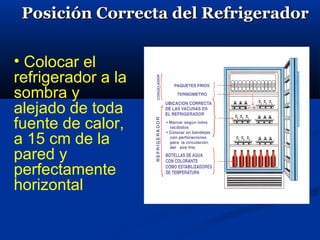Posición Correcta del RefrigeradorPosición Correcta del Refrigerador
• Colocar el
refrigerador a la
sombra y
alejado de toda
fuente de calor,
a 15 cm de la
pared y
perfectamente
horizontal
 
