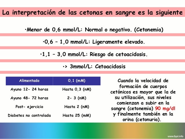 cetoácidos y cuerpos cetónicos en diabetes cetoácidos y cuerpos cetónicos en diabetes