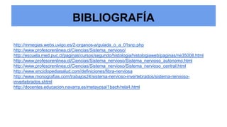 BIBLIOGRAFÍA
http://mmegias.webs.uvigo.es/2-organos-a/guiada_o_a_01snp.php
http://www.profesorenlinea.cl/Ciencias/Sistema_nervioso/
http://escuela.med.puc.cl/paginas/cursos/segundo/histologia/histologiaweb/paginas/ne35008.html
http://www.profesorenlinea.cl/Ciencias/Sistema_nervioso/Sistema_nervioso_autonomo.html
http://www.profesorenlinea.cl/Ciencias/Sistema_nervioso/Sistema_nervioso_central.html
http://www.enciclopediasalud.com/definiciones/fibra-nerviosa
http://www.monografias.com/trabajos24/sistema-nervioso-invertebrados/sistema-nervioso-
invertebrados.shtml
http://docentes.educacion.navarra.es/metayosa/1bach/rela4.html
 