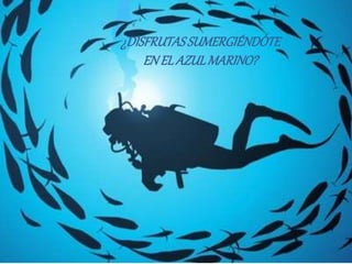 ¿DISFRUTASSUMERGIÉNDOTE
EN ELAZULMARINO?
 