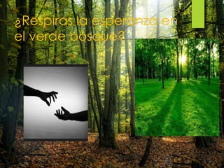 ¿Respiras la esperanza en
el verde bosque?
 