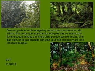 Sólo me gusta el verde apagado y oscuro que muestra una vida
infinita. Ese verde que muestran los bosques tras un intenso día
lloviendo, que aunque a primera vista puedan parecer tristes, si te
fijas bien, es lo que precede a la vida, a un día soleado; y así todo
rebosará energía.
GOT
3º ESO-C
 