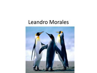 Leandro Morales
 