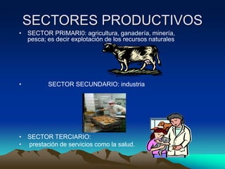SECTORES PRODUCTIVOS
• SECTOR PRIMARI0: agricultura, ganadería, minería,
pesca; es decir explotación de los recursos naturales
• SECTOR SECUNDARIO: industria
• SECTOR TERCIARIO:
• prestación de servicios como la salud.
 