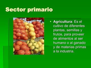 Sector primario
 Agricultura: Es el
cultivo de diferentes
plantas, semillas y
frutos, para proveer
de alimentos al ser
humano o al ganado
y de materias primas
a la industria.
 