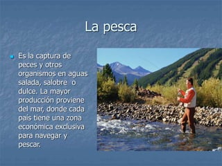 La pesca
 Es la captura de
peces y otros
organismos en aguas
salada, salobre o
dulce. La mayor
producción proviene
del mar, donde cada
país tiene una zona
económica exclusiva
para navegar y
pescar.
 