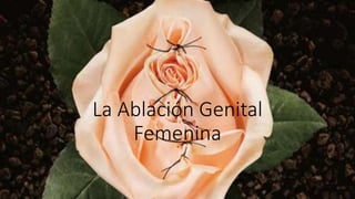 La Ablación Genital
Femenina
 