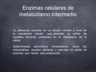 Enzimas celulares de
metabolismo intermedio
La alteración consiste en un simple cambio a nivel de
la membrana celular, que posibilita la salida de
aquellas enzimas presentes en el citoplasma de la
célula.
Determinadas estructuras intracelulares, como las
mitocondrias, resultan dañadas y permiten la salida de
enzimas que tienen esa localización.
 