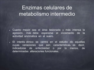 Enzimas celulares de
metabolismo intermedio
Cuanto mayor sea el área lesionada y más intensa la
agresión, más debe esperarse el incremento de la
actividad enzimática en el suero.
El interés clínico se centra en el estudio de aquellas
cuyas variaciones que son características, es decir,
indicadoras de enfermedad o por lo menos, de
determinadas alteraciones funcionales.
 