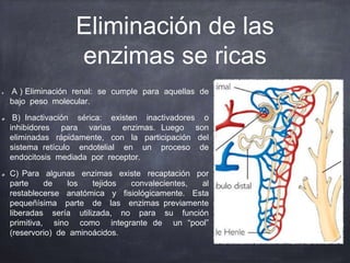 Eliminación de las
enzimas se ricas
A ) Eliminación renal: se cumple para aquellas de
bajo peso molecular.
B) Inactivación sérica: existen inactivadores o
inhibidores para varias enzimas. Luego son
eliminadas rápidamente, con la participación del
sistema retículo endotelial en un proceso de
endocitosis mediada por receptor.
C) Para algunas enzimas existe recaptación por
parte de los tejidos convalecientes, al
restablecerse anatómica y fisiológicamente. Esta
pequeñísima parte de las enzimas previamente
liberadas sería utilizada, no para su función
primitiva, sino como integrante de un “pool”
(reservorio) de aminoácidos.
 