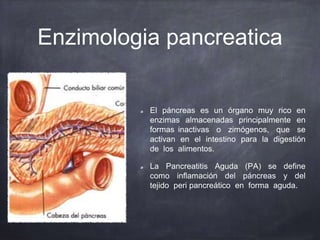 Enzimologia pancreatica
El páncreas es un órgano muy rico en
enzimas almacenadas principalmente en
formas inactivas o zimógenos, que se
activan en el intestino para la digestión
de los alimentos.
La Pancreatitis Aguda (PA) se define
como inflamación del páncreas y del
tejido peri pancreático en forma aguda.
 