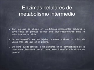 Enzimas celulares de
metabolismo intermedio
Son las que se ubican en los distintos componentes celulares y
cuya salida se produce cuando una causa determinada altera la
estructura de la célula.
La concentración en los tejidos de estas enzimas es miles de
veces más alta que en el plasma.
Un daño puede conducir a un aumento en la permeabilidad de la
membrana plasmática con su consecuente liberación a la circulación
general.
 