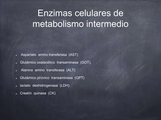 Enzimas celulares de
metabolismo intermedio
Aspartato amino transferasa (AST)
Glutámico oxalacético transaminasa (GOT),
Alanina amino transferasa (ALT)
Glutámico pirúvico transaminasa (GPT)
lactato deshidrogenasa (LDH)
Creatín quinasa (CK)
 