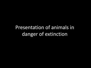 Presentation of animals in
danger of extinction
 
