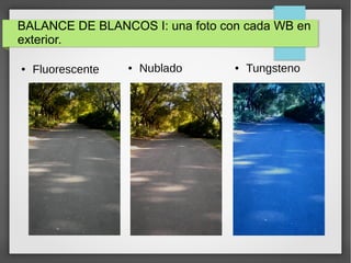 BALANCE DE BLANCOS I: una foto con cada WB en
exterior.
● Fluorescente ● Nublado ● Tungsteno
 
