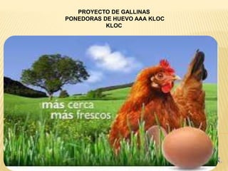 PROYECTO DE GALLINAS
PONEDORAS DE HUEVO AAA KLOC
KLOC
 