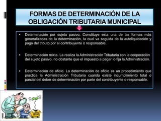 FORMAS DE DETERMINACIÓN DE LA
OBLIGACIÓN TRIBUTARIA MUNICIPAL
 Determinación por sujeto pasivo. Constituye esta una de las formas más
generalizadas de la determinación, la cual va seguida de la autoliquidación y
pago del tributo por el contribuyente o responsable.
 Determinación mixta. La realiza la Administración Tributaria con la cooperación
del sujeto pasivo, no obstante que el impuesto a pagar lo fija la Administración.
 Determinación de oficio. La determinación de oficio es un procedimiento que
practica la Administración Tributaria cuando existe incumplimiento total o
parcial del deber de determinación por parte del contribuyente o responsable.
 .
 