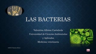 Valentina Alfonso Castañeda
Universidad de Ciencias Ambientales
y Aplicadas
Medicina veterinaria
LAS BACTERIAS
04/09/15 Valentina Alfonso
 