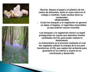 RECICLAJE:
-Recicla. Separa el papel y el plástico de los
restos de alimentos, tanto en casa como en el
colegio o instituto. Cada residuo tiene su
contenedor.
VEGETACIÓN:
- Cuida los bosques y la vegetación en general
no dejes ni fogatas, ni cigarrillos encendidos
ya que podrían causar incendio.
-Los bosques y la vegetación tienen un papel
protagonista en cuanto que absorben fuertes
cantidades de CO2 para poder realizar la
fotosíntesis.
-La fotosíntesis es el proceso mediante el cual
los vegetales utilizan la energía de la luz para
transformar el CO2 que captan del ambiente para
guardarlo en su interior y usarlo en su
crecimiento y desarrollo.
 