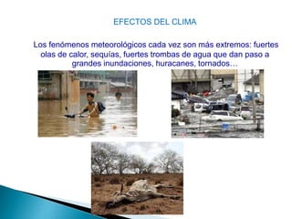 EFECTOS DEL CLIMA
Los fenómenos meteorológicos cada vez son más extremos: fuertes
olas de calor, sequías, fuertes trombas de agua que dan paso a
grandes inundaciones, huracanes, tornados…
 