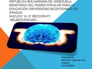 REPUBLICA BOLIVARIANA DE VENEZUELA
MINISTERIO DEL PODER POPULAR PARA LA
EDUCACIÓN UNIVERSIDAD BICENTENARIA DE
ARAGUA
NUCLEO: V.L P. SECCIÓN P1
NEUROCIENCIAS I
Participante :
Ramírez Ledezma Luis
Casiano
CI:24239991
 