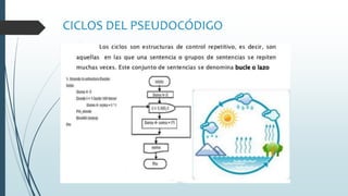 CICLOS DEL PSEUDOCÓDIGO
 