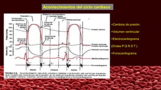Acontecimientos del ciclo cardiaco
+Cambios de presión
+Volumen ventricular
+Electrocardiograma
(Ondas P Q R S T )
+Fonocardiograma
 