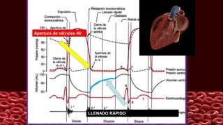 LLENADO RÁPIDO
Apertura de válvulas AV
 