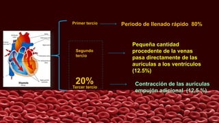 Contracción de las aurículas
empujón adicional (12,5 %)
Diástole
Primer tercio
Segundo
tercio
Tercer tercio
Periodo de llenado rápido 80%
Pequeña cantidad
procedente de la venas
pasa directamente de las
aurículas a los ventrículos
(12.5%)
20%
 