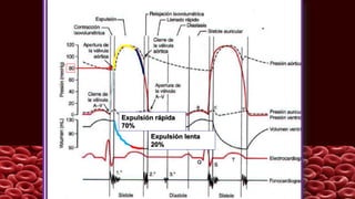 Expulsión rápida
70%
Expulsión lenta
20%
 