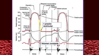 < presión
ventricular
Volumen constante
 